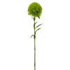 Artificial Dianthus Green Ball Stem 21"