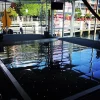 Black LED Starlight Dance Floor Kit - 12ft x 12ft (includes Flight Case)