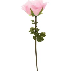 Decostar™ Jumbo Rose 65" - Pink