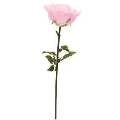 Decostar™ Jumbo Rose 53