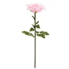 Decostar™ Jumbo Rose 44" - Pink