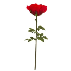 Decostar™ Jumbo Rose 53