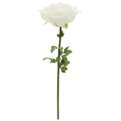 Decostar™ Jumbo Rose 53