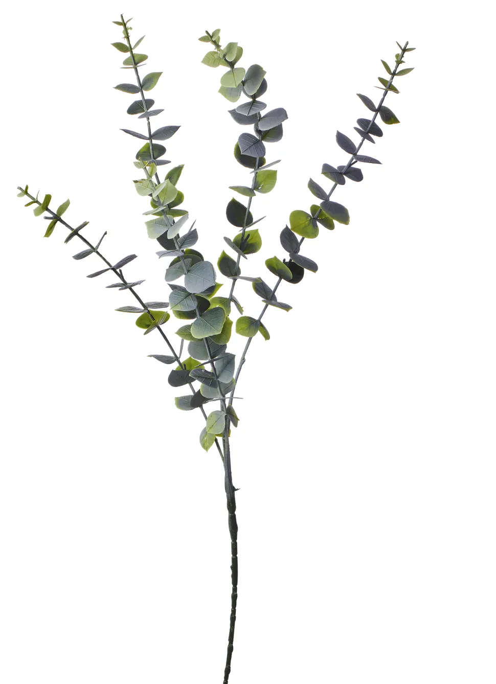 Decostar™ Artificial Eucalyptus Plant