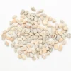Decostar™ - 20 Bags Sand Rocks (1kg per bag)