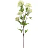 Decostar™ Faux Fraxinus Griffithii Branch 30" - Cream