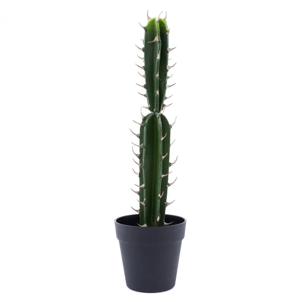 Decostar™ Faux San Pedro Cactus with Pot - 20"