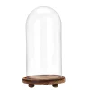 Decostar™ Glass Dome with Wood Base 13"