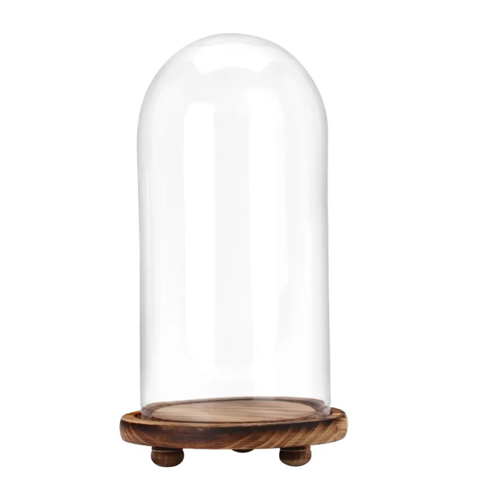 Decostar™ Glass Dome with Wood Base 13"