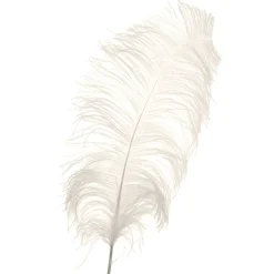 Decostar™ Ivory Ostrich Feather - 22" to 24" - 12 Feathers!