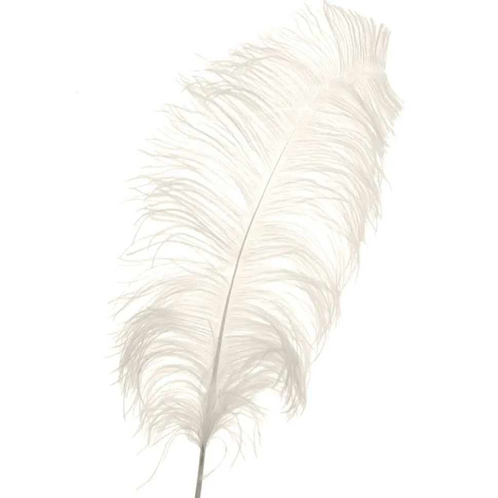 Decostar™ Ivory Ostrich Feather - 22" to 24" - 12 Feathers!