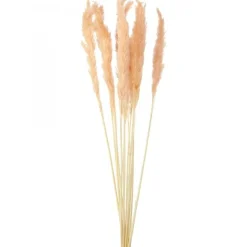 Decostar™ Natural Boho Dried Pampas Grass Plumes - 24