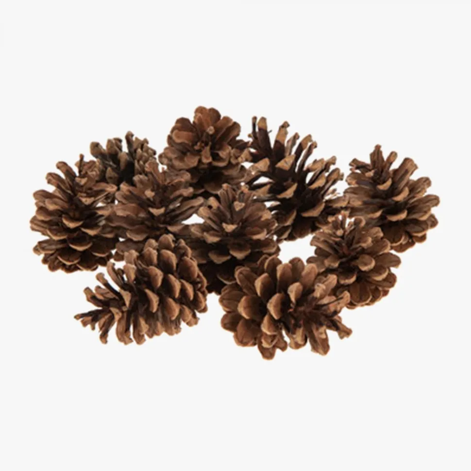 Decostar™ Natural Large Pine Cones 10pc/bag