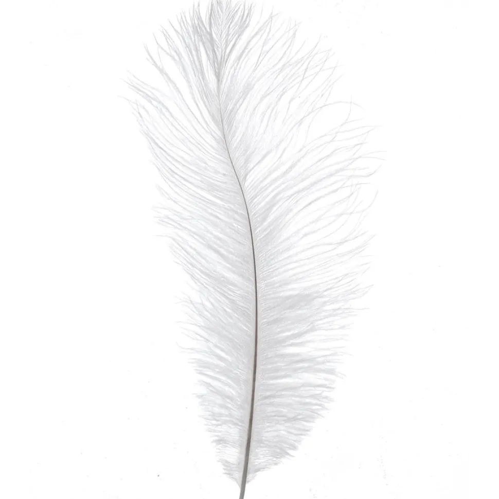 Decostar™ Ostrich Feather 13"-15" - Pack of 48 - White