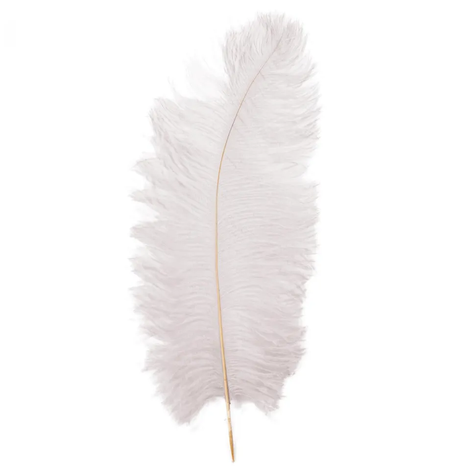Decostar™ Ostrich Feather 23" 10pc/bag - White