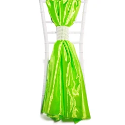 DecoStar™ Taffeta Single Piece Simple Back Chair Accent - Lime