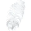 Decostar™ White Ostrich Feather - 22" to 24" - 12 Feathers!