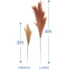 Faux Pampas Grass - 6 Stems - 38" Long - Dusty Rose