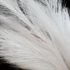 Faux Pampas Grass - 6 Stems - 48" Long - White