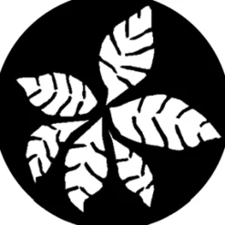 Fronds - Stock Gobo for Gobo Light Projectors - Choose your size!