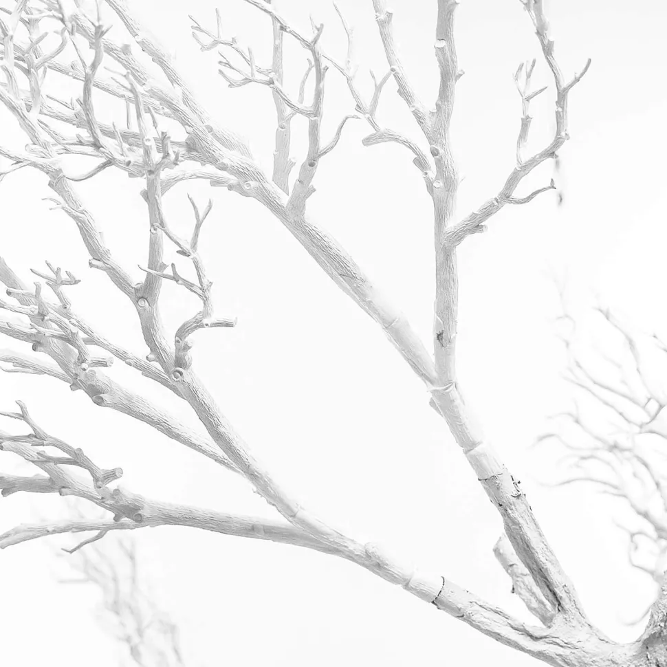 8ft Artificial Grand Manzanita Tree — White, 24 Interchangeable Branches | Customize for Weddings & Events | ModTree™ Collection