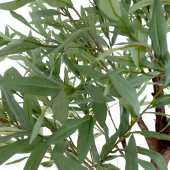 6ft Artificial Olive Leaf Tree — Green, 10 Interchangeable Branches | Customize for Weddings & Events | ModTree™ Collection