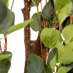 8ft Green Round Eucalyptus Leaf Wedding Ceremony Arch w/ Interchangeable Branches | ModTree™ Collection