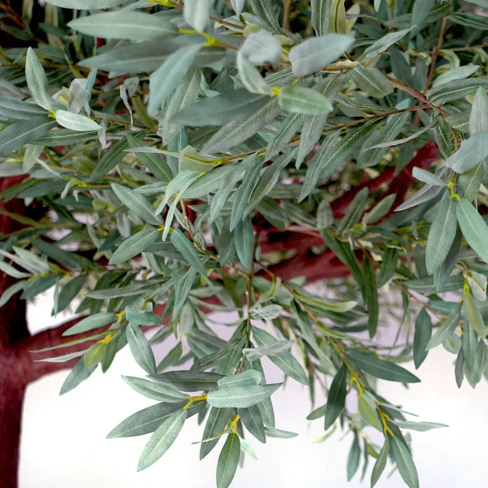 15ft Tall Realistic Giant Tree | Olive Leaf Tree | ModTree™ Flagship Collection