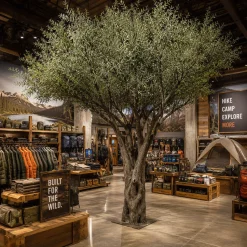 15ft Tall Realistic Giant Tree | Olive Leaf Tree | ModTree™ Flagship Collection