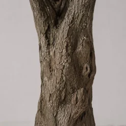 15ft Tall Realistic Giant Tree | Olive Leaf Tree | ModTree™ Flagship Collection