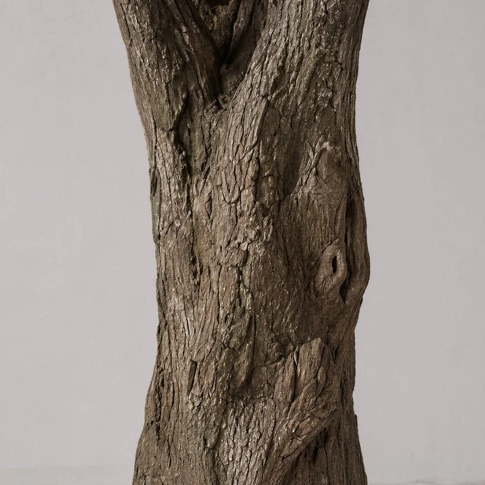 15ft Tall Realistic Giant Tree | Olive Leaf Tree | ModTree™ Flagship Collection