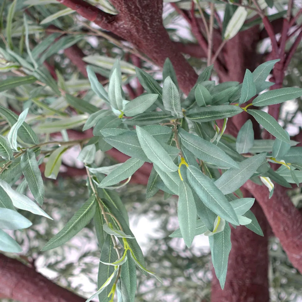 15ft Tall Realistic Giant Tree | Olive Leaf Tree | ModTree™ Flagship Collection