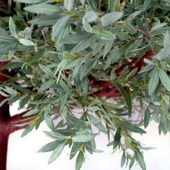 HUGE LUXE 13ft Fake Olive Leaf Tree - 150 Interchangeable Branches! | ModTree™ Collection