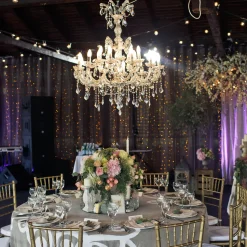 Medium Luxe 12-Arm Empress Crystal Chandelier - 24" D