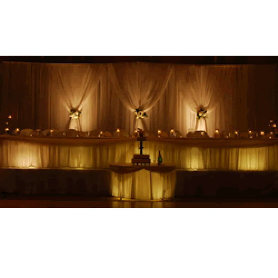 2 Panel Standard Backdrop - 9-16ft High