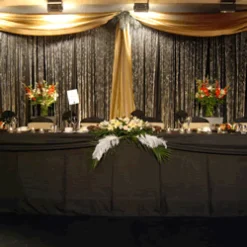 2 Panel Standard Backdrop - 6-10ft High