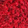 Red Mixed Floral Wall - Curtain Style - Easy Install! Select Size