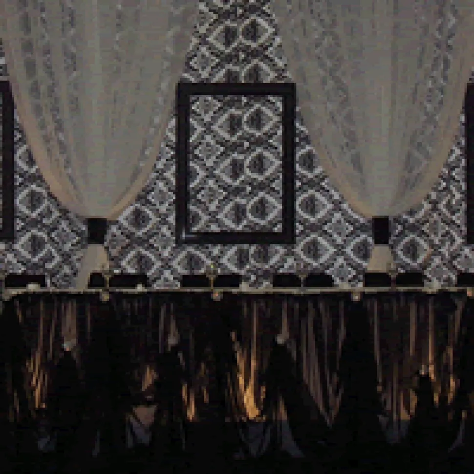 Replacement Cinderella "Stringed" Table Skirt - Skirt Only!