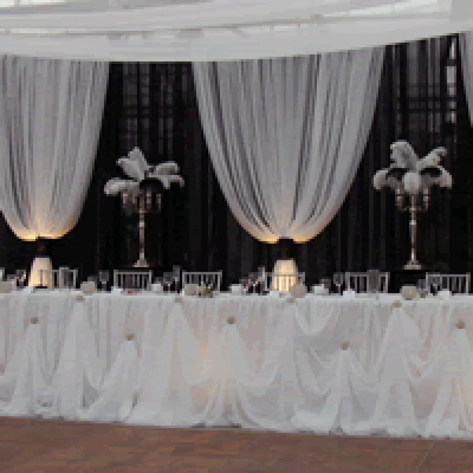 Replacement Cinderella "Stringed" Table Skirt - Skirt Only!