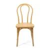 Resin Bentwood Chair - Medium with Black Grain
