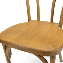 Resin Bentwood Chair - Medium with Black Grain