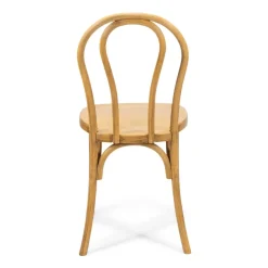 Resin Bentwood Chair - Medium with Black Grain