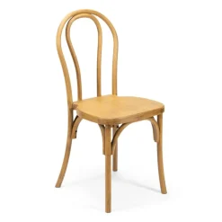Resin Bentwood Chair - Medium with Black Grain