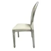 Resin Pop Louis Banquet Chair - Silver