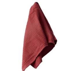 Rustico Napkin – 22” x 22” – 12 PACK – Terracota