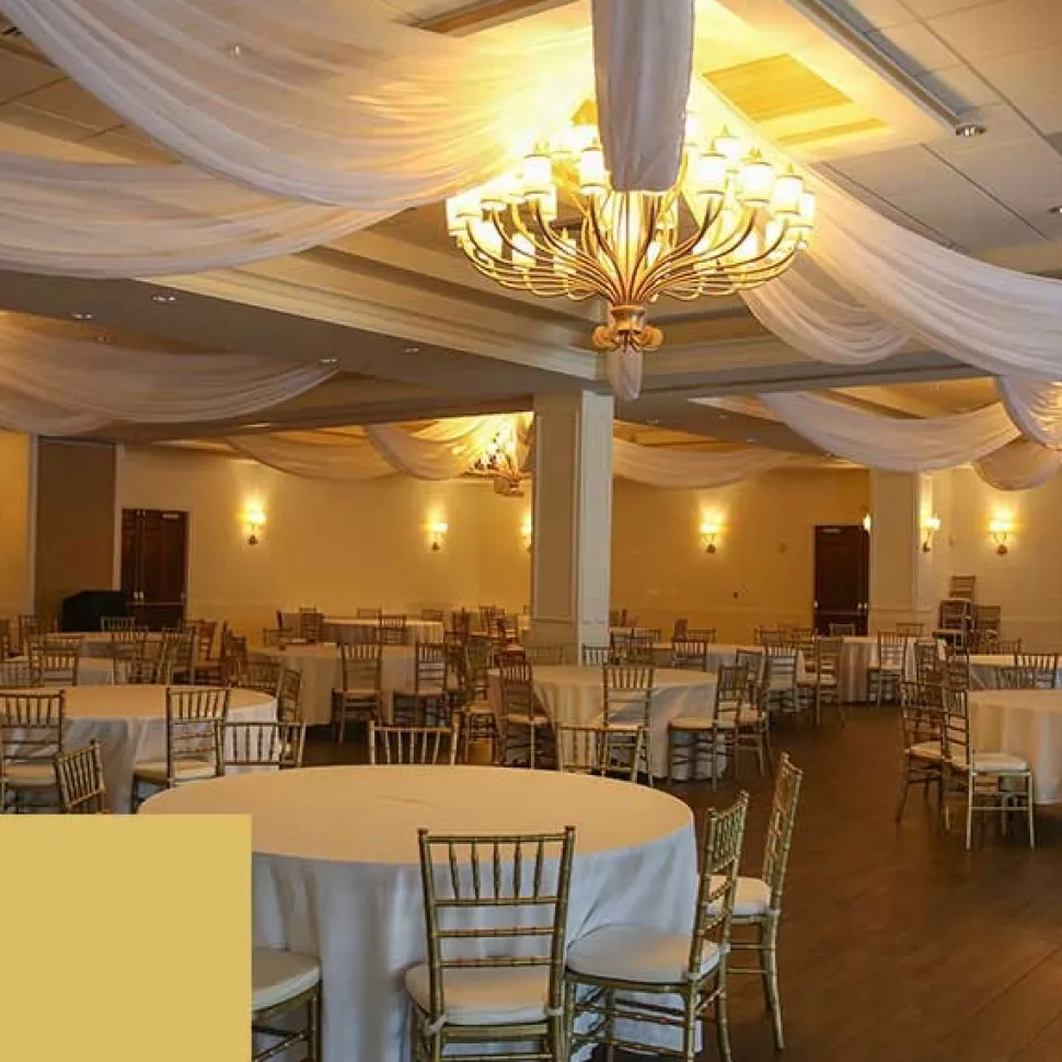 Single Piece - Light Gold Crushed Taffeta Prefabricated Ceiling Drape Panel - Choose Length and Drop!