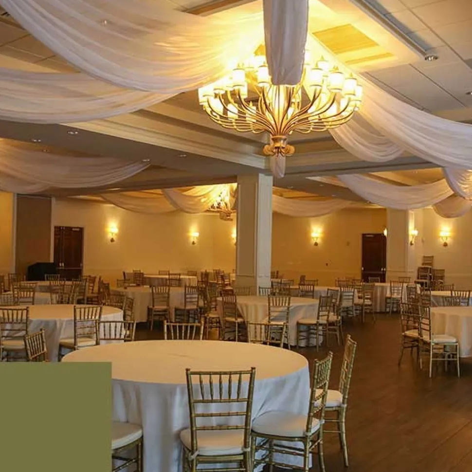 Single Piece - Olive Taffeta Prefabricated Ceiling Drape Panel - Choose Length and Drop!