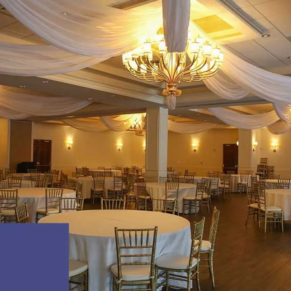 Single Piece - Purple Crushed Taffeta Prefabricated Ceiling Drape Panel - Choose Length and Drop!