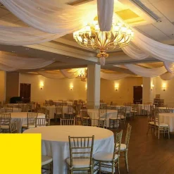 Single Piece - Sun Flower Taffeta Prefabricated Ceiling Drape Panel - Choose Length and Drop!