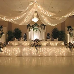 Starlight Lighting Kit - 6 strands of Lights Recommended for 12 Panel Ceiling Draping Kit